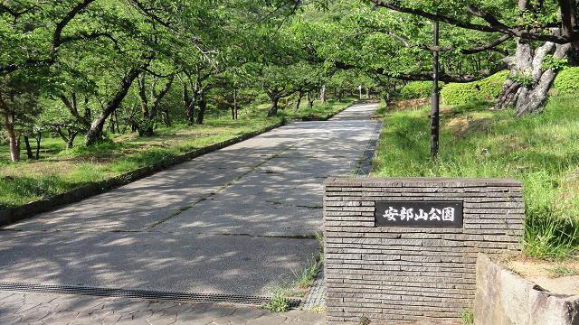 安部山公園：1136m