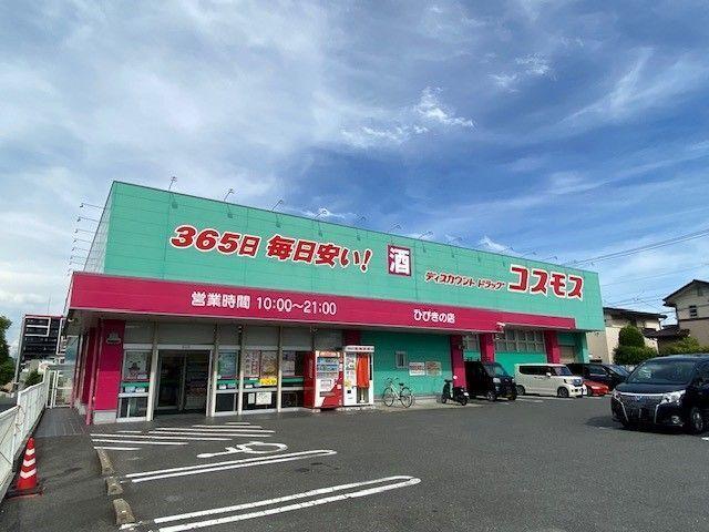 コスモス：900m