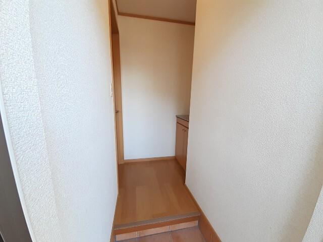 クリスマスローズⅢ（102） その他
