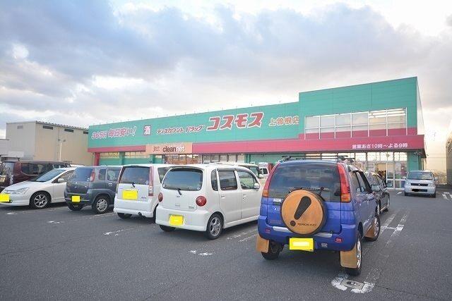 コスモス：750m