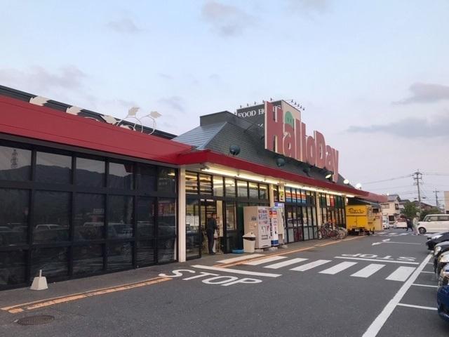 ハローデイ：850m