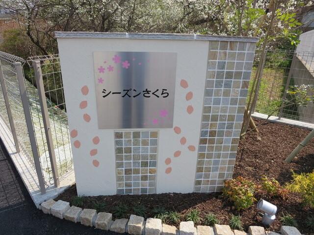 シーズンさくら（105） エントランス