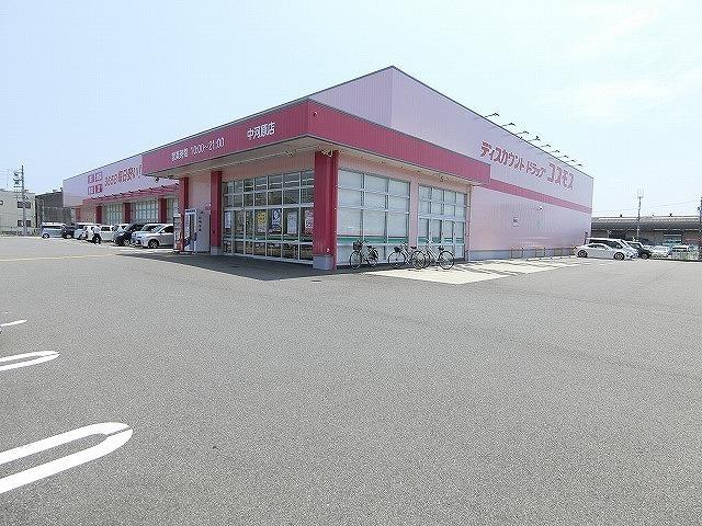 コスモス：500m