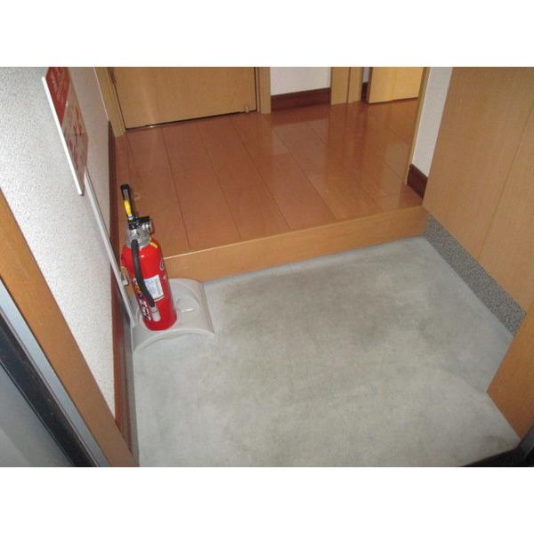 Esteana（エスティーナ）（1-C） 玄関
