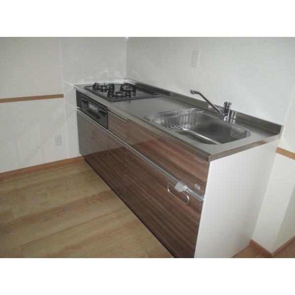 スパークリングハウスⅡ（2-B） キッチン