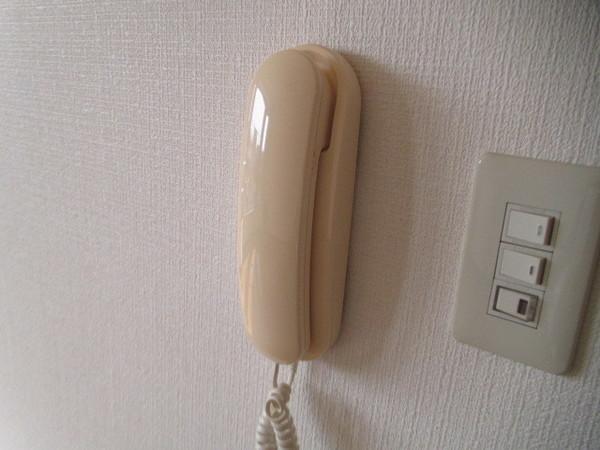 ヴィラやまなみ（106） セキュリティ