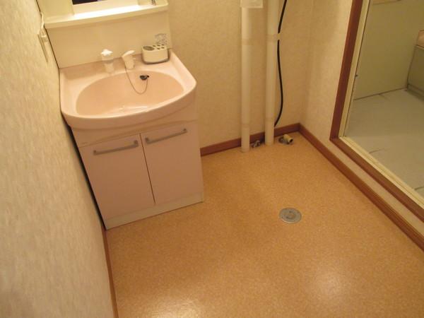 ヴァイオレットハイツ（D） その他