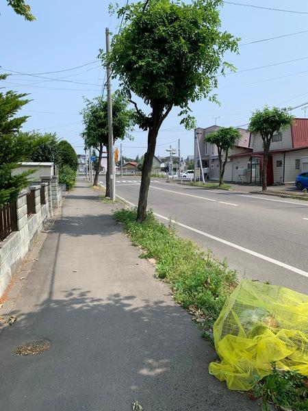 西19南2テラスハウス（EAST） 眺望