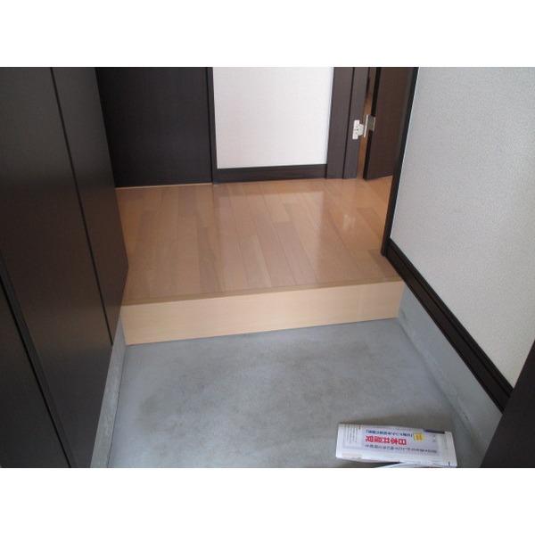 ラパーチェ529（302） 玄関