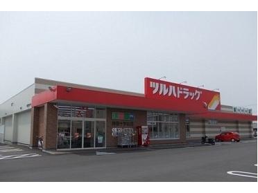 ツルハドラッグ神居十字街店：270m