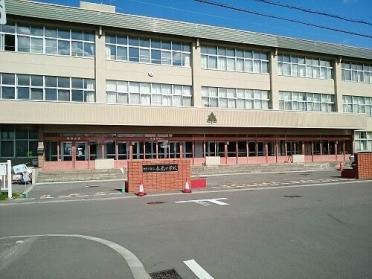 旭川市立春光小学校：550m