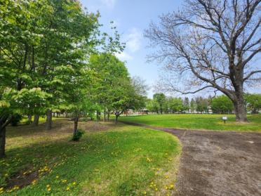 大通公園：600m