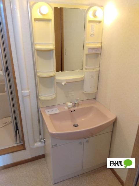 タウンハウス５．４（106） 洗面
