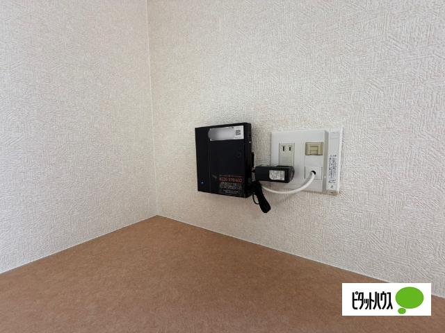 アストランティア その他
