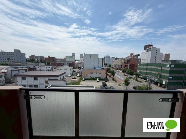 大通11丁目ビル（506） 眺望