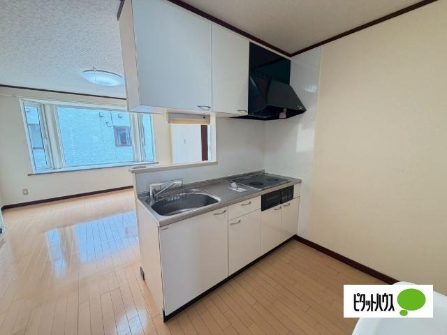 清流ヒルズⅥ（102B） キッチン