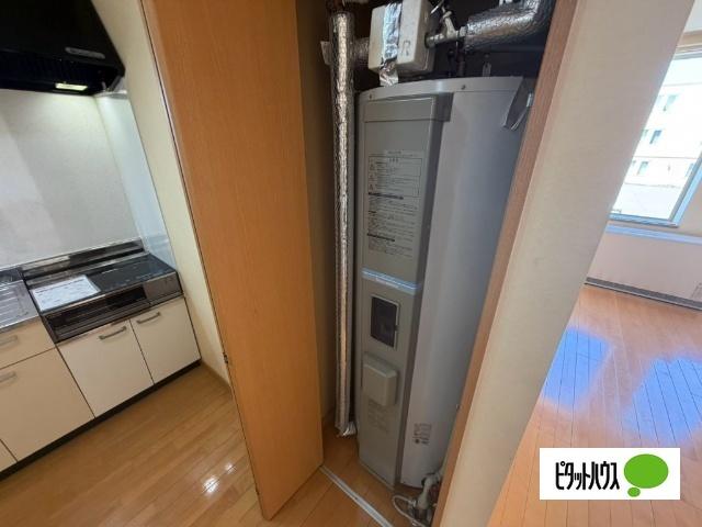 ラグ161E（202） その他