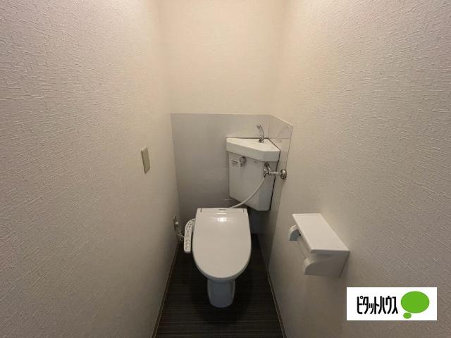 アサンテ柏林台（303） トイレ