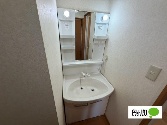 ラグ161E（202） 洗面