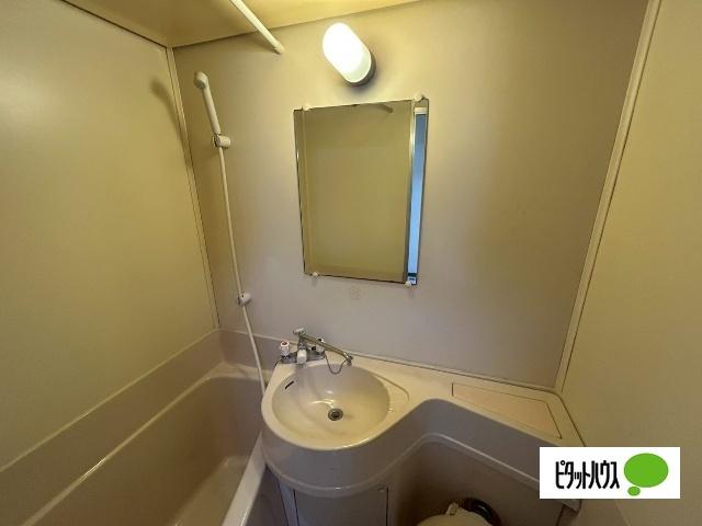 シャトレ白樺（105） 洗面
