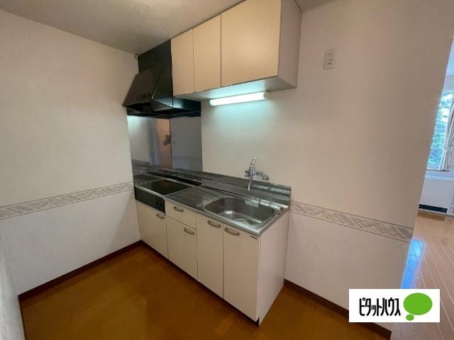 Park house（パークハウス）（313） キッチン