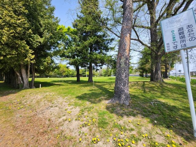 白人公園：490m