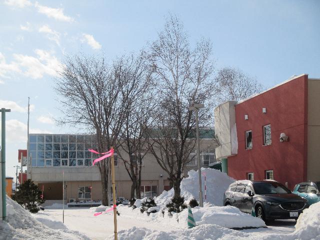 帯広市立つつじが丘小学校：400m