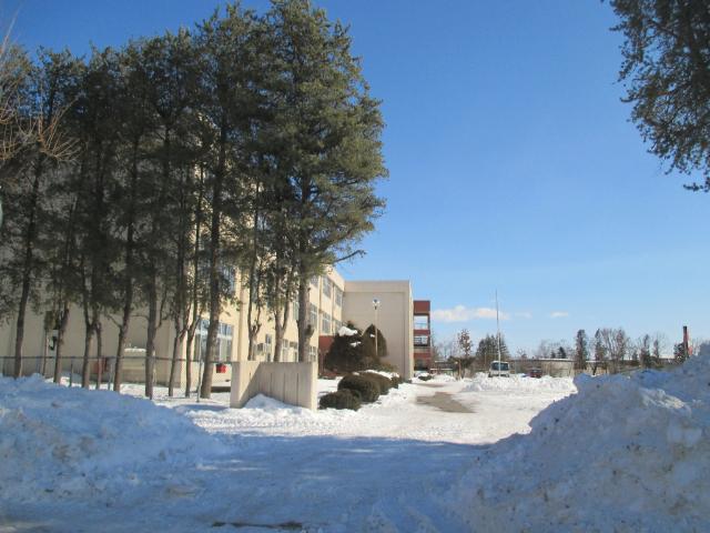 帯広市立花園小学校：789m