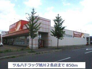 ツルハドラッグ旭川２条店：850m