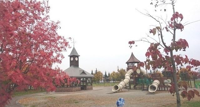 ひじり野公園：150m