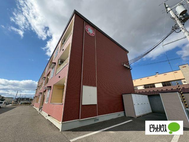 サペリ（102） 外観