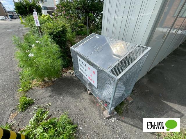 PEACE⑥（ピース⑥）（12） その他