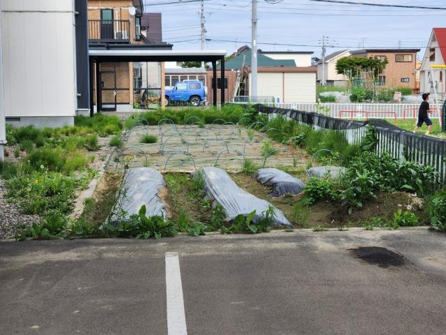 ガーデンハウスII その他