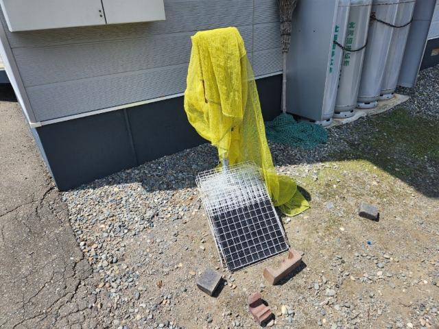 つばさハイツ311（102） 共有部分