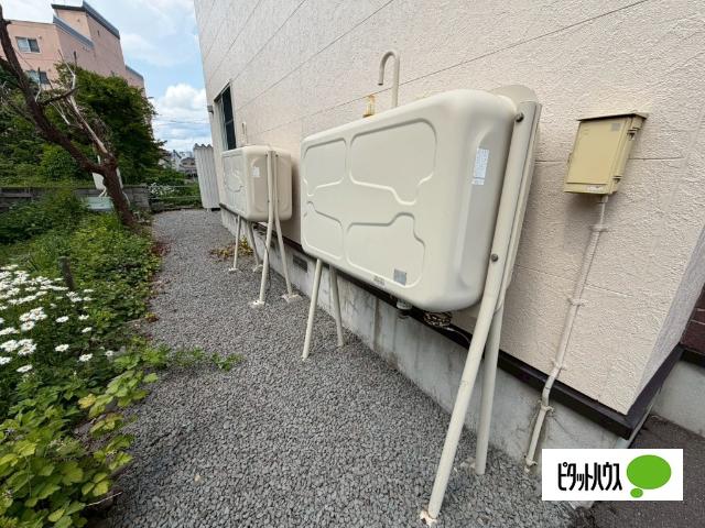 ノンシャラン（102） その他