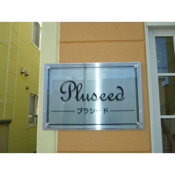 PLUSEED（203） その他
