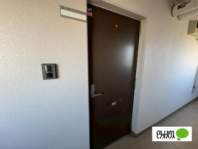 ドルシスII（1-B） エントランス