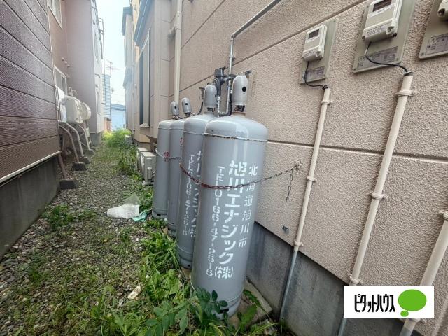 ヴィクトワールⅡ（202） その他