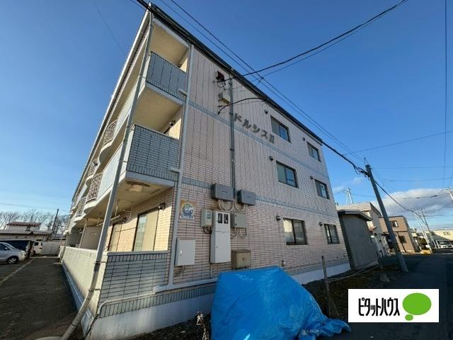 ドルシスII（1-B） その他