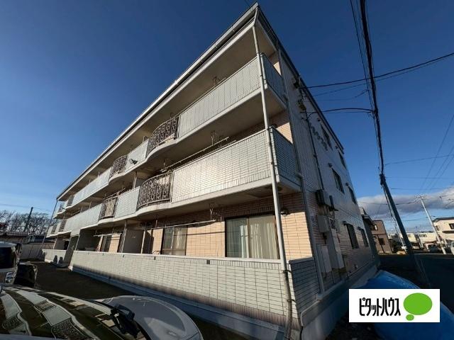 ドルシスII（1-B） 外観