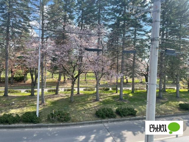 ピアチェーレ大通公園（104） その他