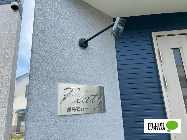 プラティ（101） その他