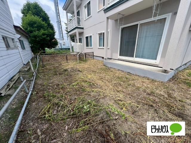 プラティ（101） その他