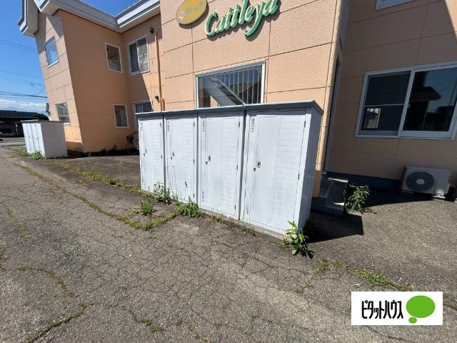 カトレア（103） その他