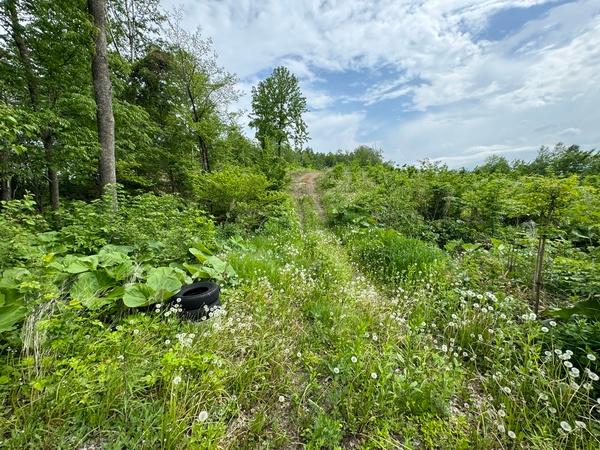 清水町熊牛　売土地 土地