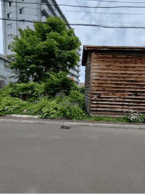土地3