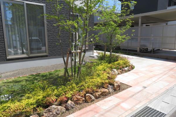 西中央戸建 庭
