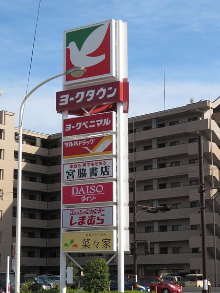 ヨークタウン野田：100m