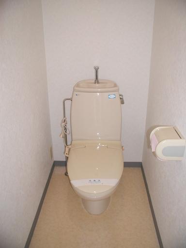 マルベリープレーンハイツ（402） トイレ