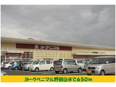 ヨークベニマル野田店：650m